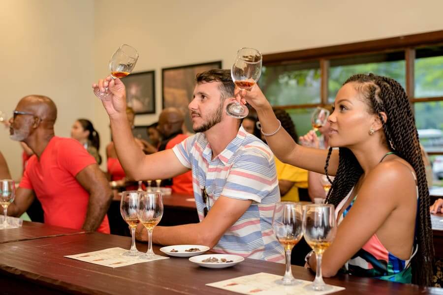 Private Appleton Estate Rum Tour, YS Falls & Pelican Bar Tour