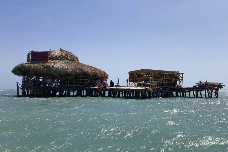 YS Falls, Black River Safari & Floyd's Pelican Bar Tour